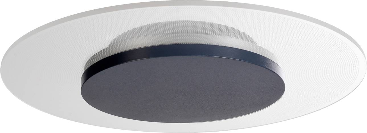 Deko Light Zaniah Luz de montaje en techo LED LED instalado de forma fija 12 W Clase de eficiencia energética: F (A - G) Blanco cálido Blanco
