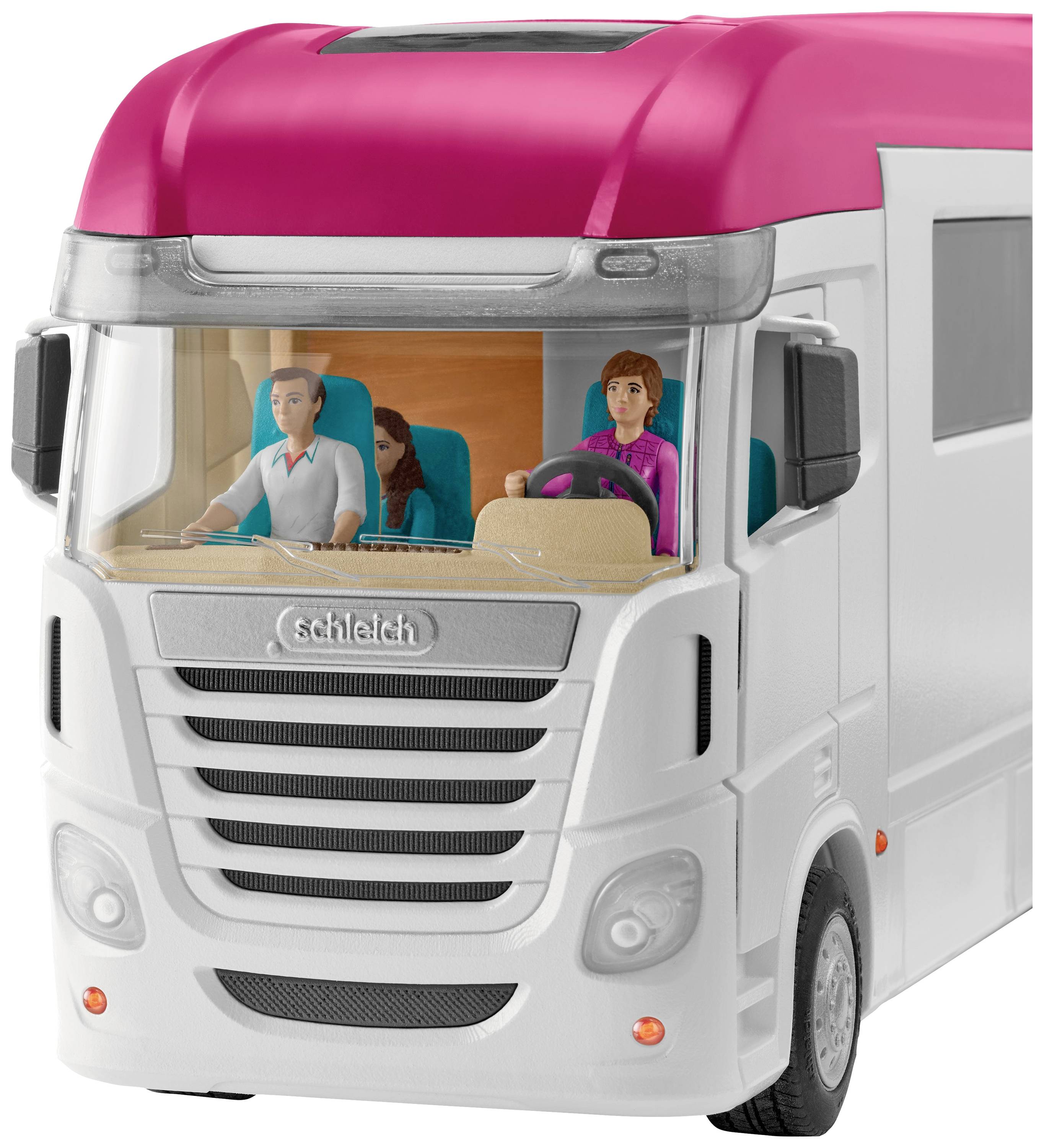 Transportador de caballos-15