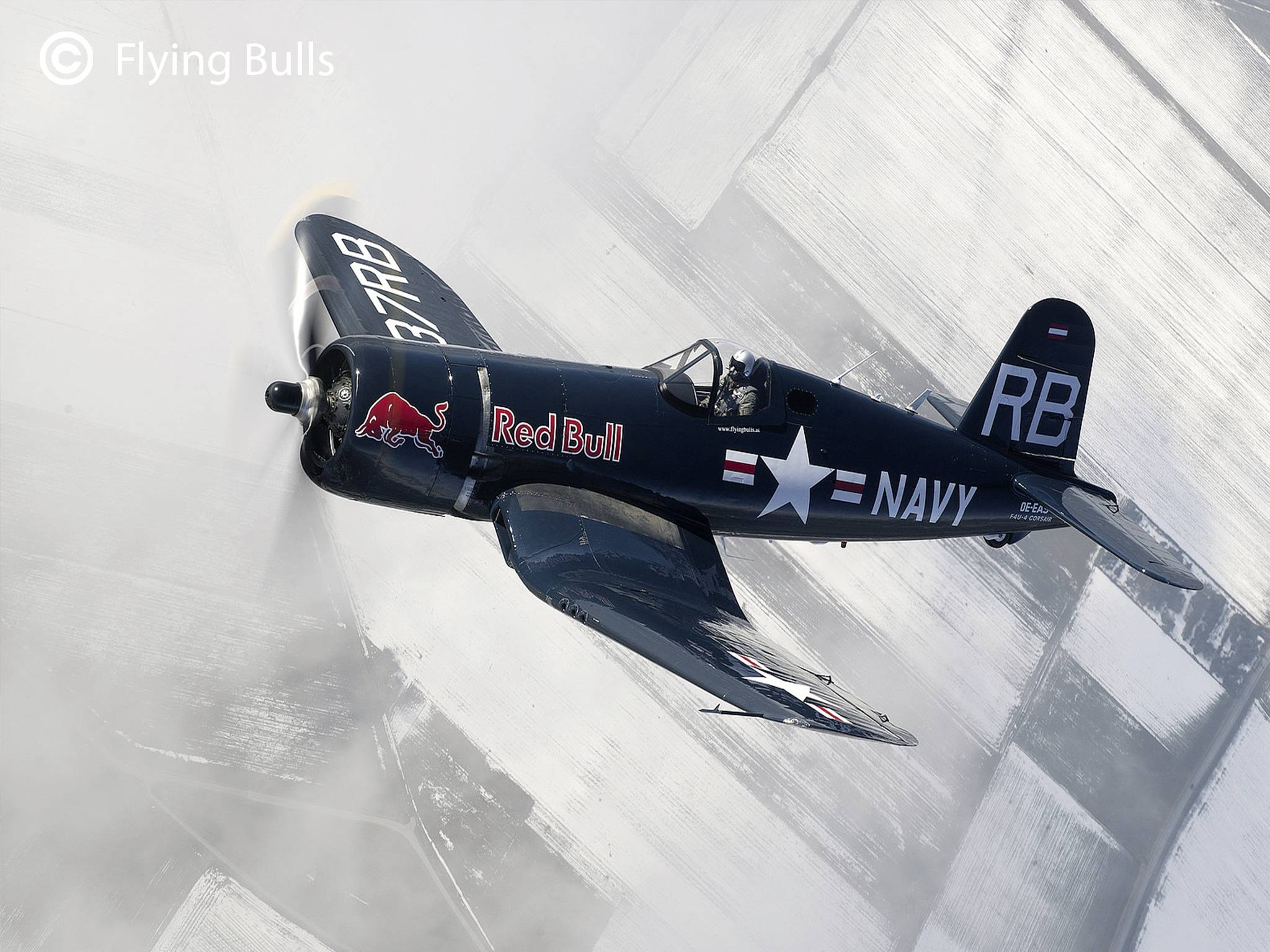 Revell 05641 Flying Bulls F4U-4 Corsair Kit de montaje de maquetas de avión 1:48