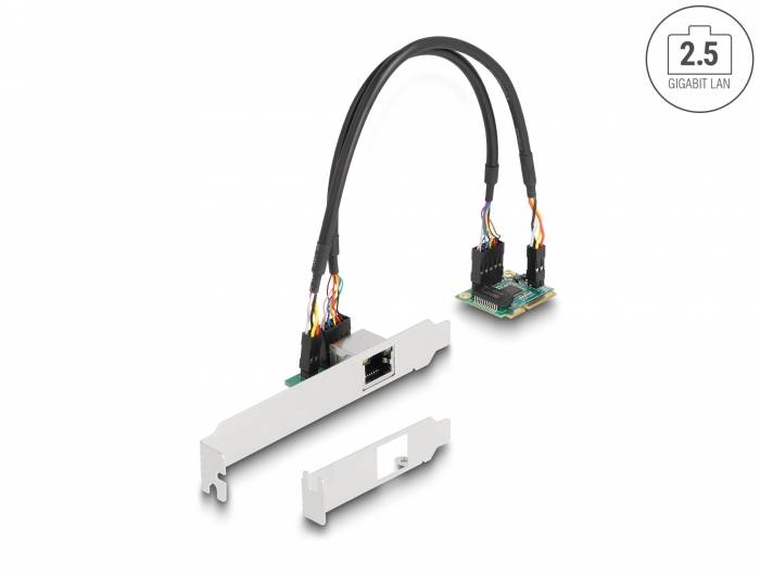 Delock 95271 Tarjeta PCI-Express RJ45 Mini-PCI-Express-2