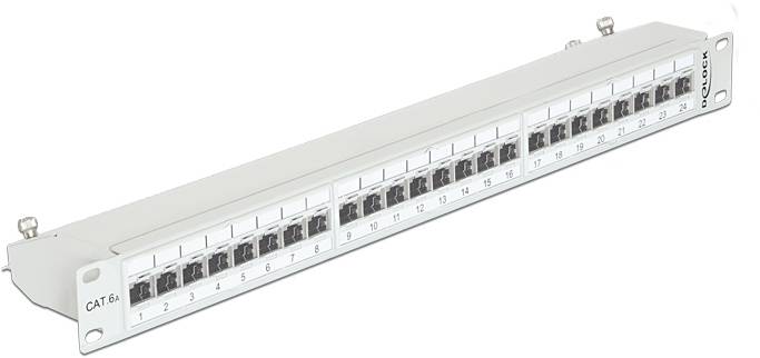 Delock 43319 Patch-Panel 483 mm (19") CAT 6A 1 U Gris Bestückt-1