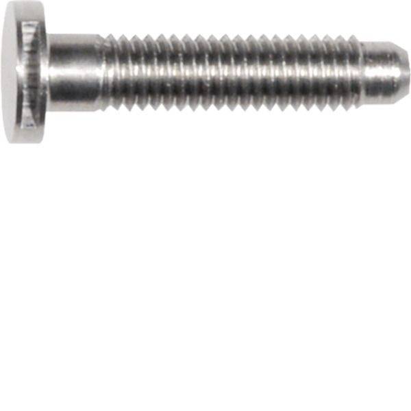 Hager REH107X Tornillo de cabeza cilíndrica M5 x 25 Acero 1 UD(S).-0