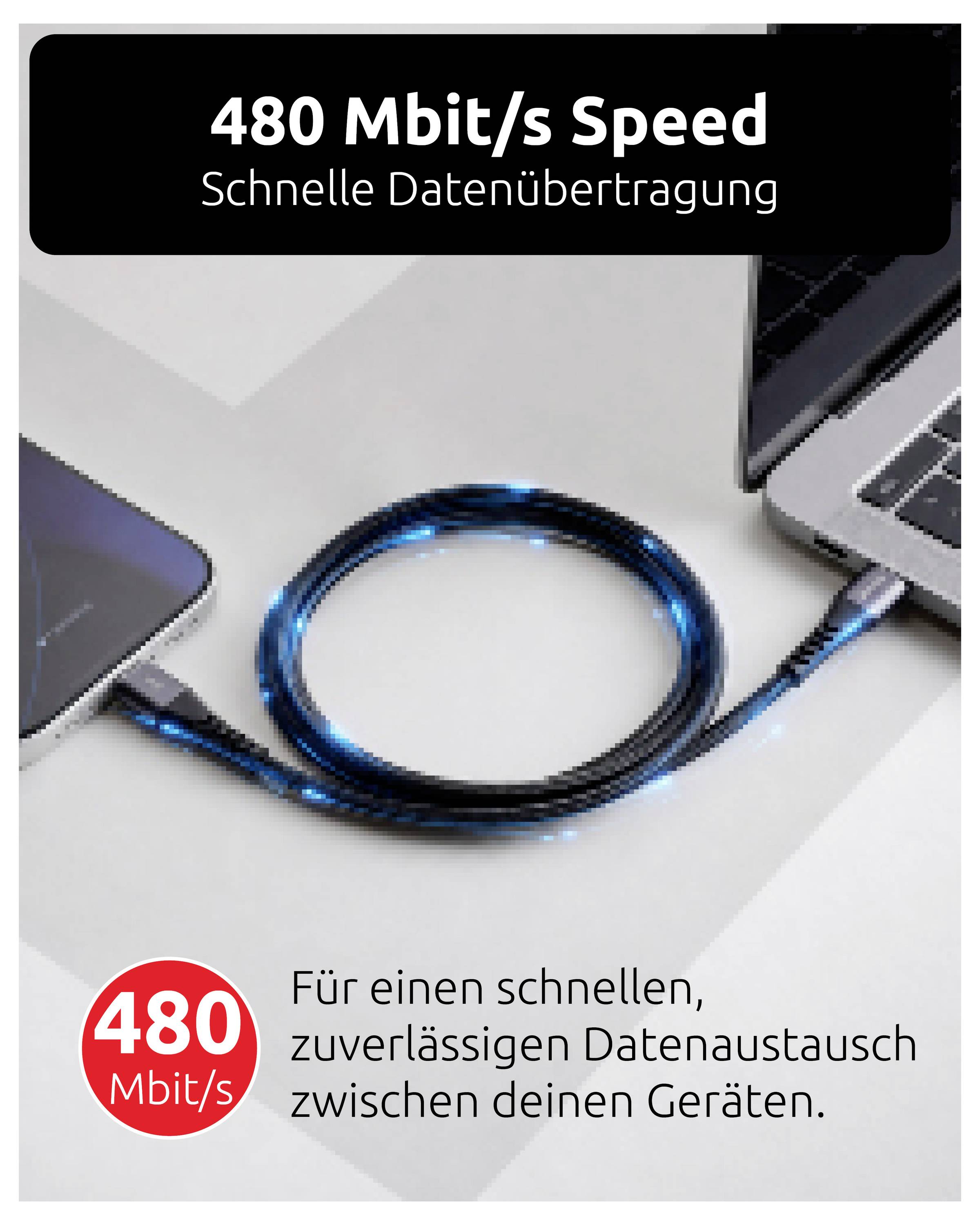 Intenso Cable USB USB-C® 2 m Schwarz 7944000-7