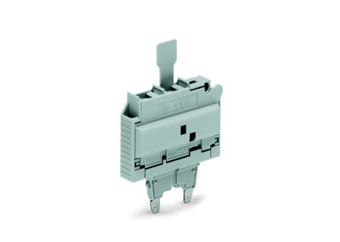 WAGO 2006-931/1099-541 Conector con fusible Gris 25 UD(S).-1
