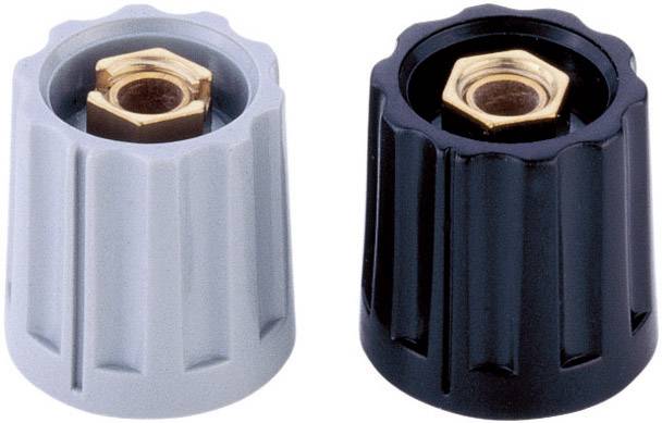 Mentor 331.6 331.6 Botón giratorio Con indicador Schwarz (Ø x Alt.) 15 mm x 14 mm 1 UD(S).-0