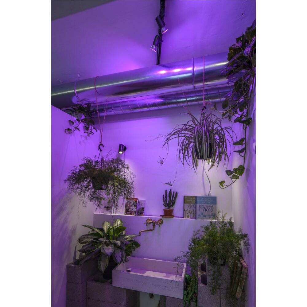 Imagen de premio para SLV ENOLA B 152010 Apliques de pared GU10 50 W Schwarz