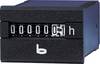 Bauser 250.2/942-001-1-1-001 250.2/942-001-1-1-001 Petits compteurs horaires