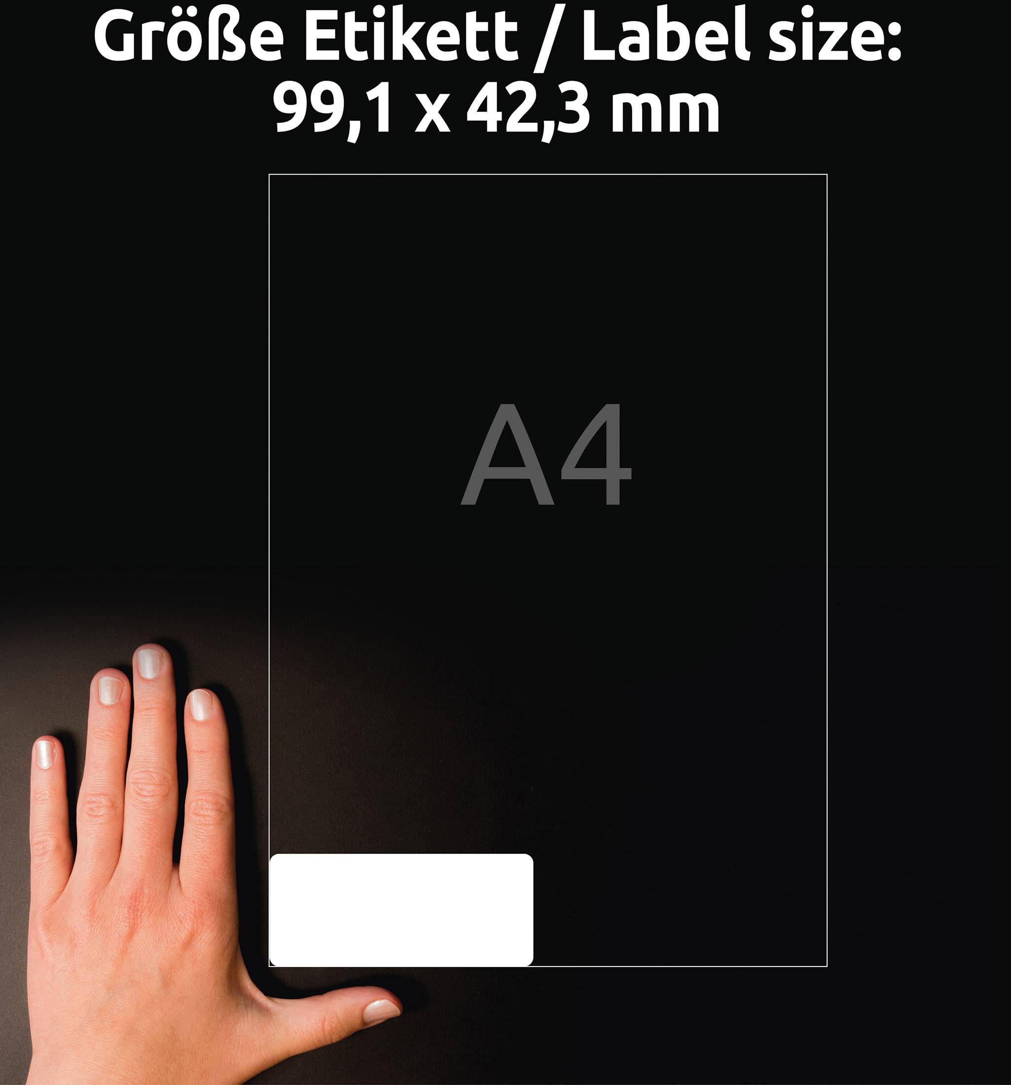'Taille de l'étiquette / Dimensions de l'étiquette : 99,1 x 42,3 mm.' Une main pointe du doigt une feuille A4 qui illustre la taille de l'étiquette.
