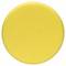 Un cercle jaune simple sur un fond blanc.