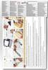 Oracover 50-010-B Feuille de conception Easyplot (L x l) 300 mm x 208 mm blanc