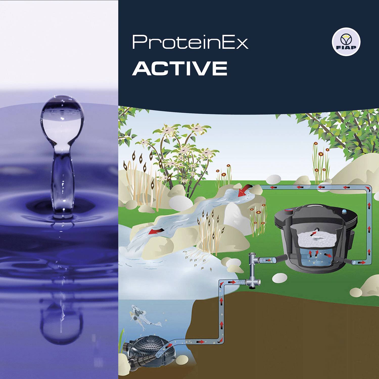 Une goutte d'eau tombe dans un étang ; représentation graphique d'un système de traitement des eaux en extérieur, entouré de végétation verte.