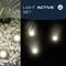 Système d'éclairage « Light Active Set » : Quatre projecteurs placés dans un lit de gravier, brillant dans l'obscurité, disposés sur des pierres décoratives.