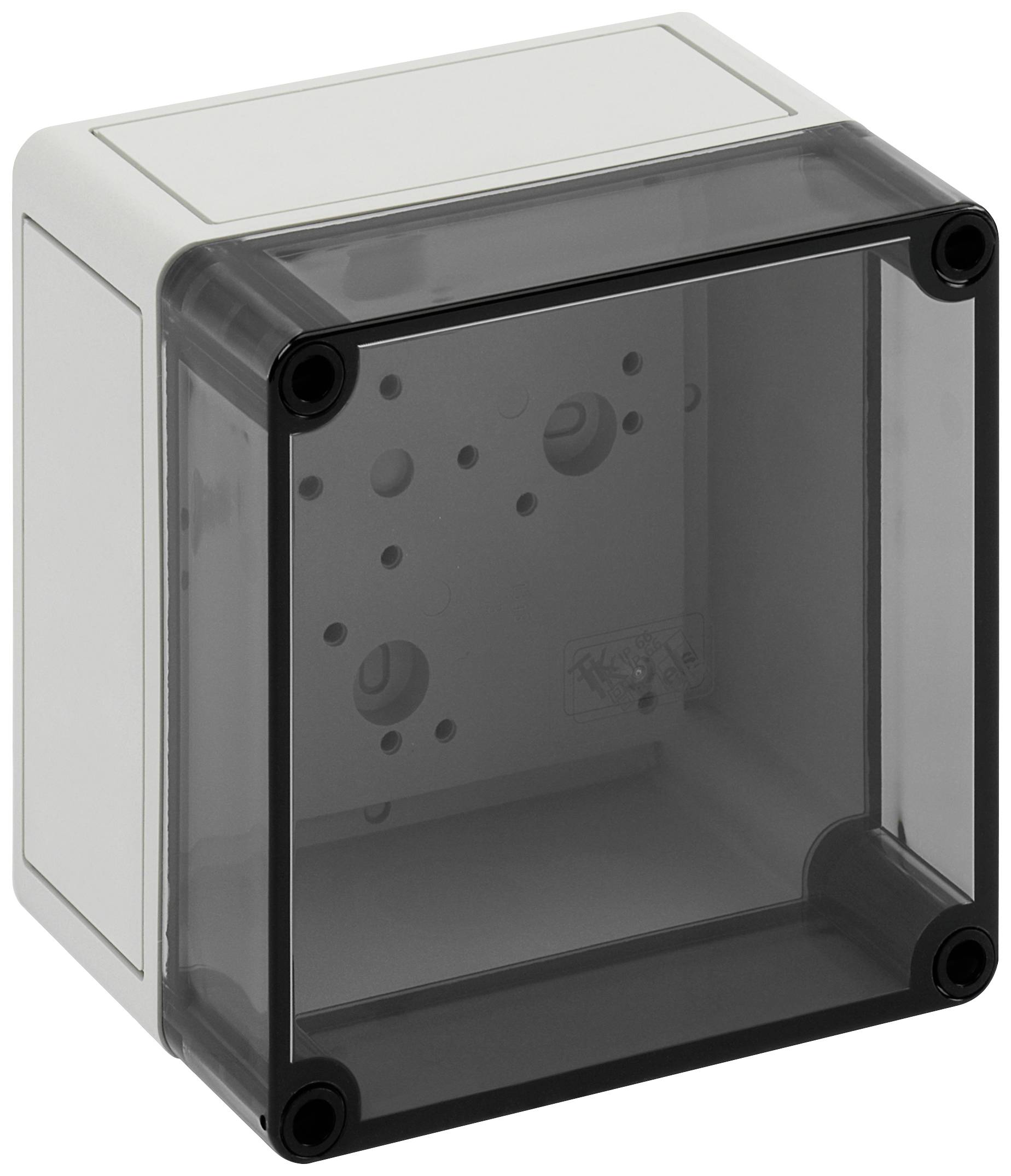 Coffret d'installation Spelsberg TK PS 1313-10-t 11150501 gris clair (RAL 7035) 130 x 130 x 99 Polycarbonate, Polystyrèn