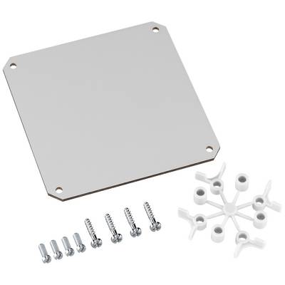 Plaque métallique avec quatre trous de perçage, sept vis et une pièce en plastique blanc. Accessoire pour montage ou installation.