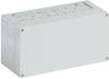 Coffret d'installation Spelsberg AKi 1-g 74140101 gris 300 x 150 x 132 Polycarbonate 1 pc(s)