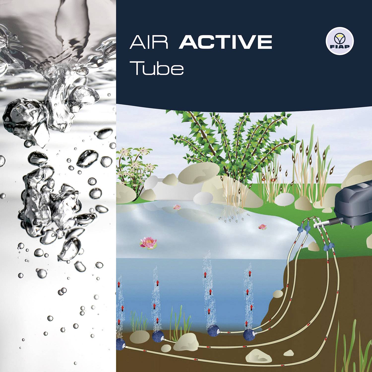 À gauche, un gros plan d'eau bouillonnante. À droite au-dessus, un dessin d'un bassin avec des plantes, une pompe de bassin et des tuyaux à air.