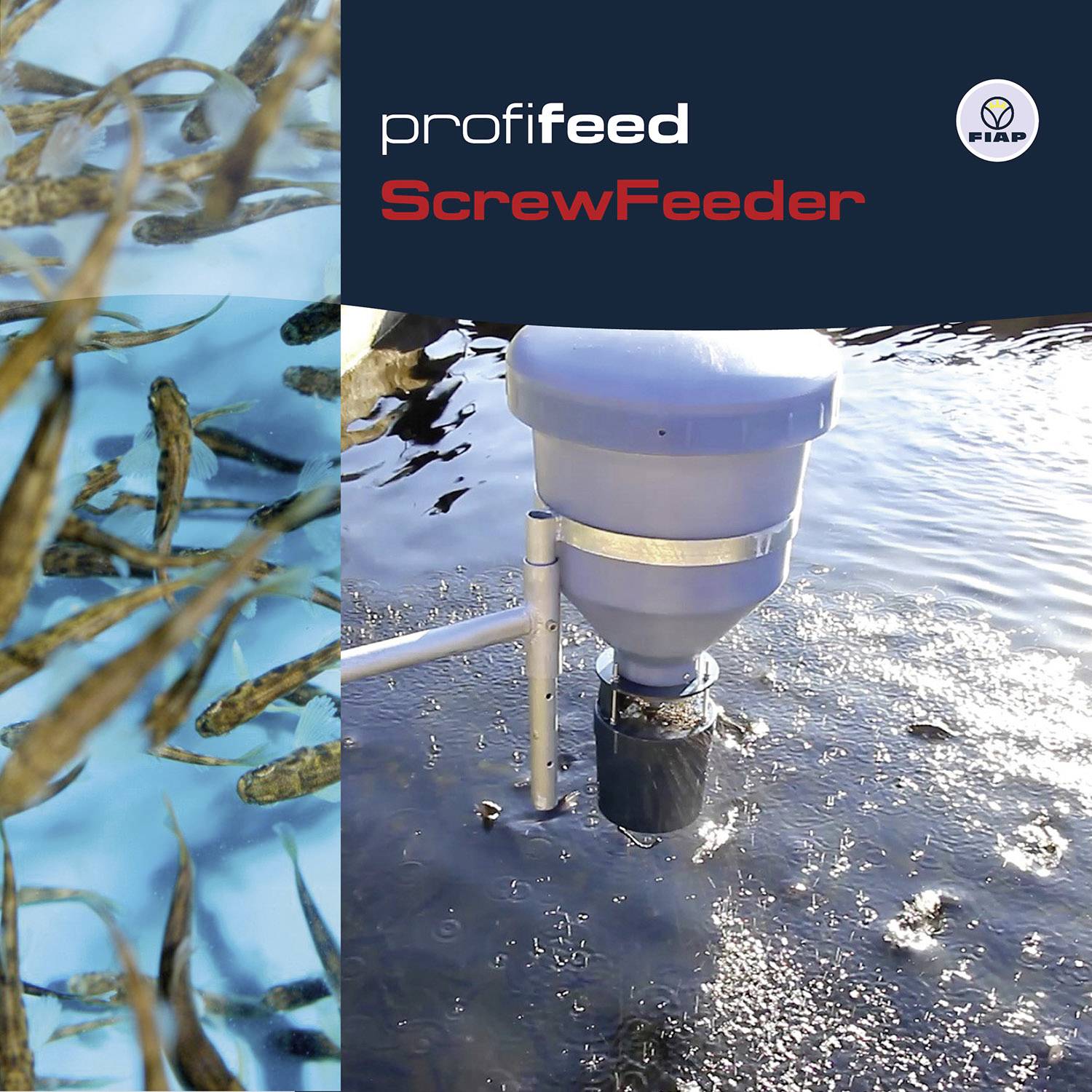 Profifeed ScrewFeeder en action pour l'alimentation automatique des poissons dans l'eau, avec des poissons nageurs et l'appareil immergé.