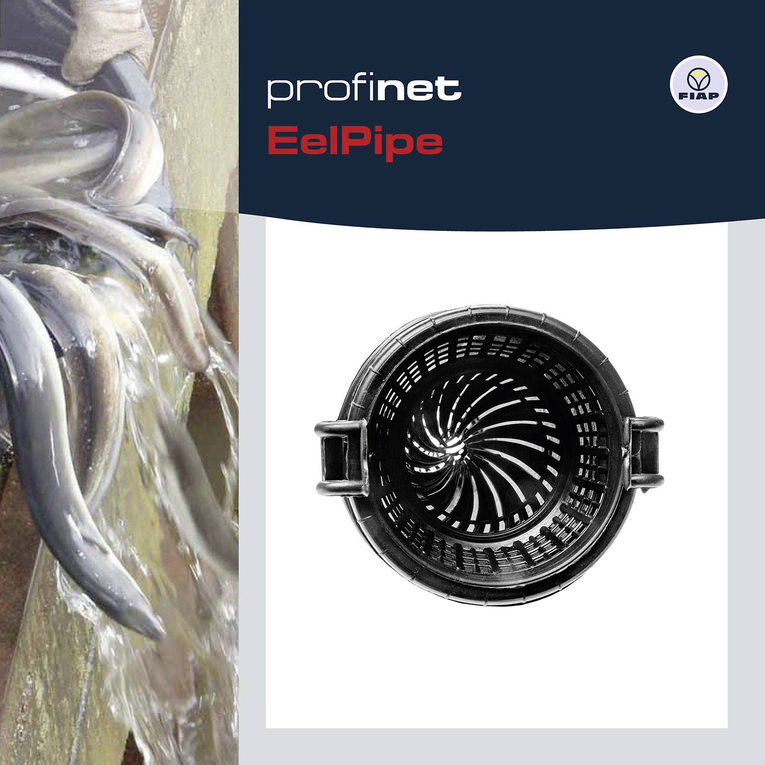 Logo 'Aalrohr' en haut à droite ; à gauche, des anguilles jaillissent d'un tuyau ; à droite, un panier en plastique vide avec un motif de fond en spirale.