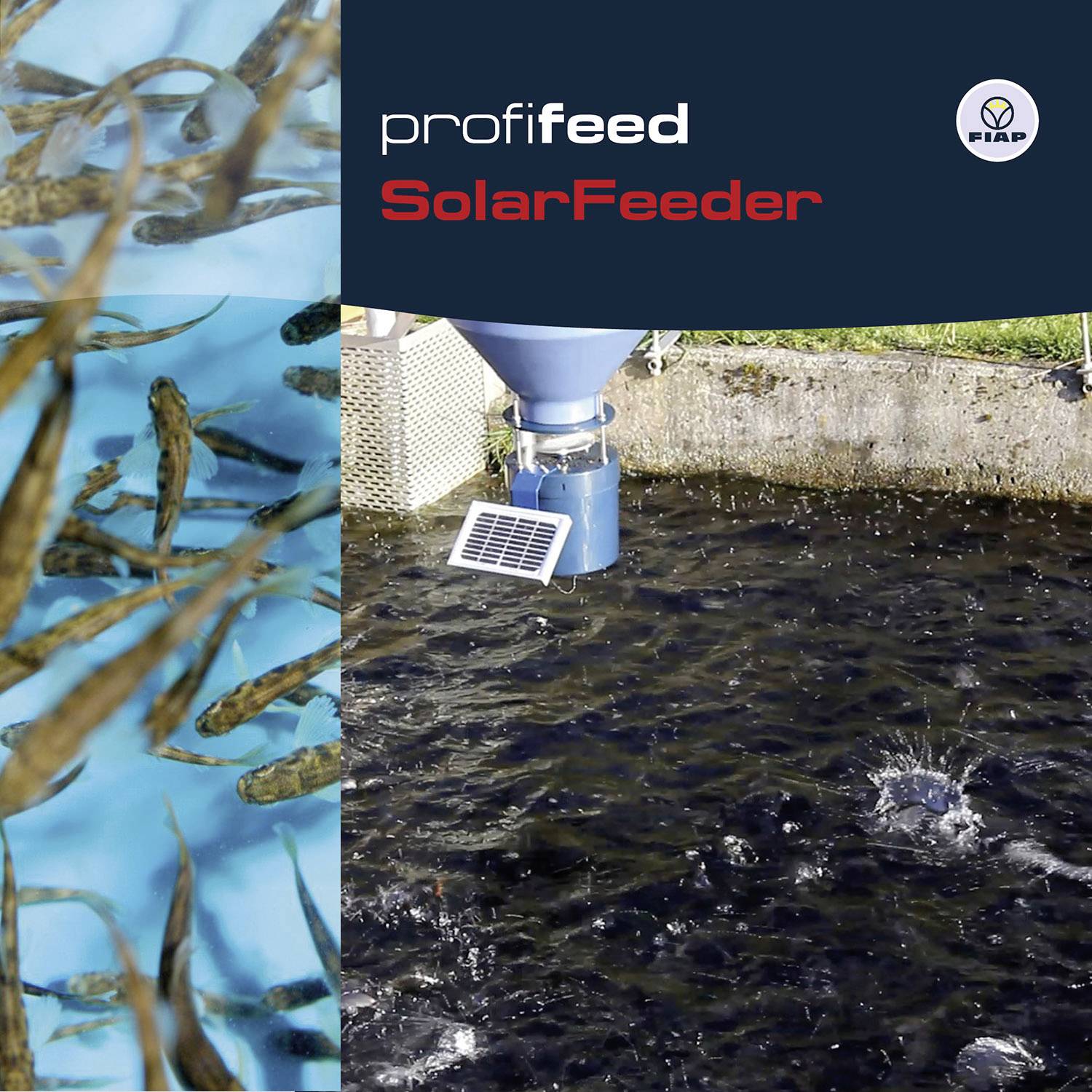 Des poissons nagent dans un étang, à côté un distributeur de nourriture équipé d'un panneau solaire. En haut est inscrit 'profifeed SolarFeeder'.