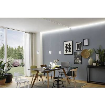 Une salle à manger avec une table moderne et des chaises dépareillées, décorée avec des plantes et des œuvres d'art sur un mur gris. De grandes fenêtres laissent entrer la lumière du jour.
