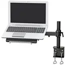 Support d'ordinateur portable Neomounts NOTEBOOK-D100 inclinable, réglable en hauteur