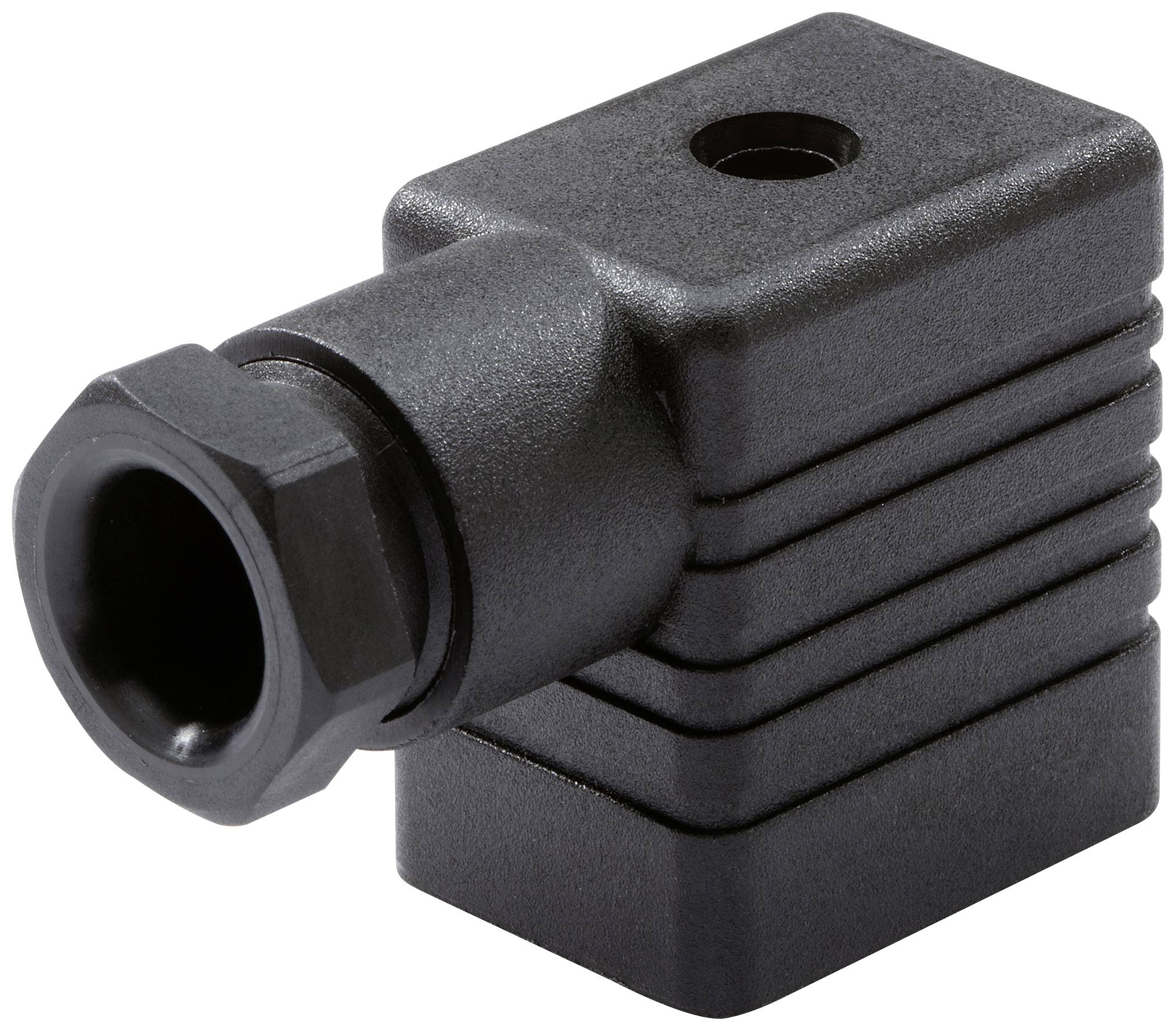 Une fiche noire rectangulaire avec une extrémité arrondie et un trou sur le dessus.