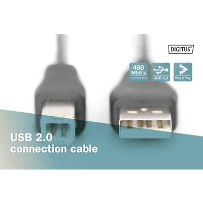 Gros plan sur deux connecteurs de câble USB 2.0. Texte : 'Câble de connexion USB 2.0', symboles de vitesse de transmission de 480 Mbit/s et de Plug & Play.