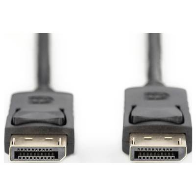 Deux câbles DisplayPort noirs avec des connecteurs identiques sont disposés côte à côte sur un fond blanc.