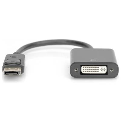 Un câble adaptateur noir de DisplayPort à DVI, utilisé pour connecter des moniteurs et des cartes graphiques avec des ports différents.