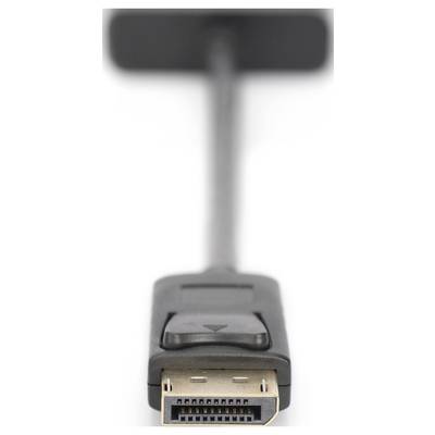 Gros plan sur un câble DisplayPort avec une fiche rectangulaire, utilisé pour les transmissions numériques de vidéo et d'audio.