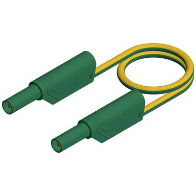 Câble vert et jaune avec deux fiches, connecté en cercle. Utilisé pour la mise à la terre électrique ou la connexion.