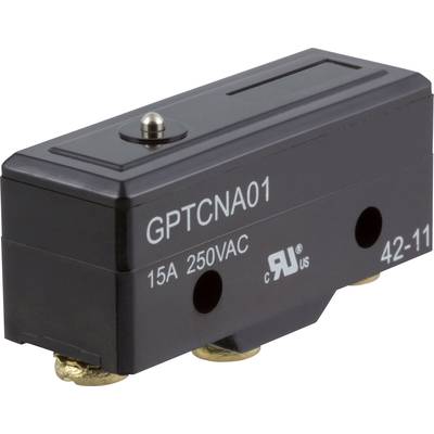ZF GPTCNA01 Microrupteur GPTCNA01 250 V/AC 15 A 1 x On/(On)  à rappel 1 pc(s) 