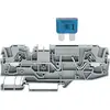 Bloc de jonction à fusibles WAGO 2006-1681 7.50 mm ressort de traction Affectation: L gris 1 pc(s)