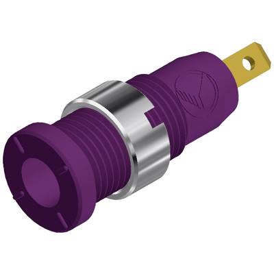 Un bouton de commande violet pour un appareil électrique avec des composants métalliques et une connexion dorée.