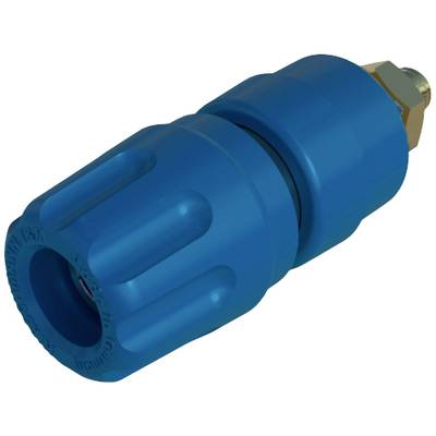 Un adaptateur bleu avec un mécanisme de vis, un boîtier en plastique résistant aux chocs et un raccordement métallique.