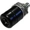 Douille banane Ø de la broche: 4 mm BKL Electronic 072307 noir 1 pc(s)