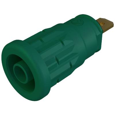 Adaptateur électrique vert avec boîtier robuste et une broche métallique pour se connecter à une prise de courant.