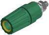 Borne de polarité Ø stylo (détails): 4 mm Hirschmann Test & Measurement PKI 110 931714188 jaune, vert 35 A 1 pc(s)