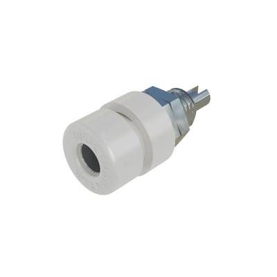 Un connecteur en plastique blanc avec un élément bleu et métallique, probablement adapté à une connexion mécanique ou électronique.