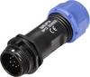Connecteur de câble mâle, droit In Line 9 pôles 3 A 125 V/AC IP68 Weipu SP1311 / P 9 II