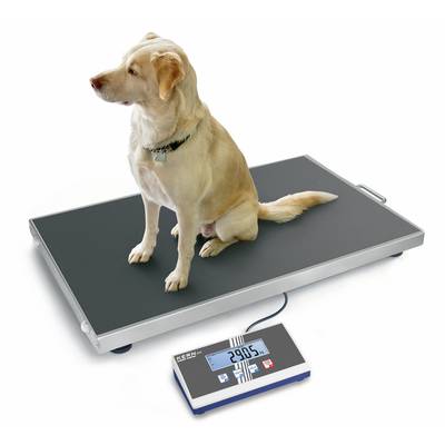 Un chien est assis sur une grande balance numérique qui affiche 29,05 kg.