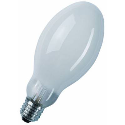 Une ampoule blanche avec un culot métallique, pointant légèrement vers le haut ; symbolise souvent des idées ou l'innovation.