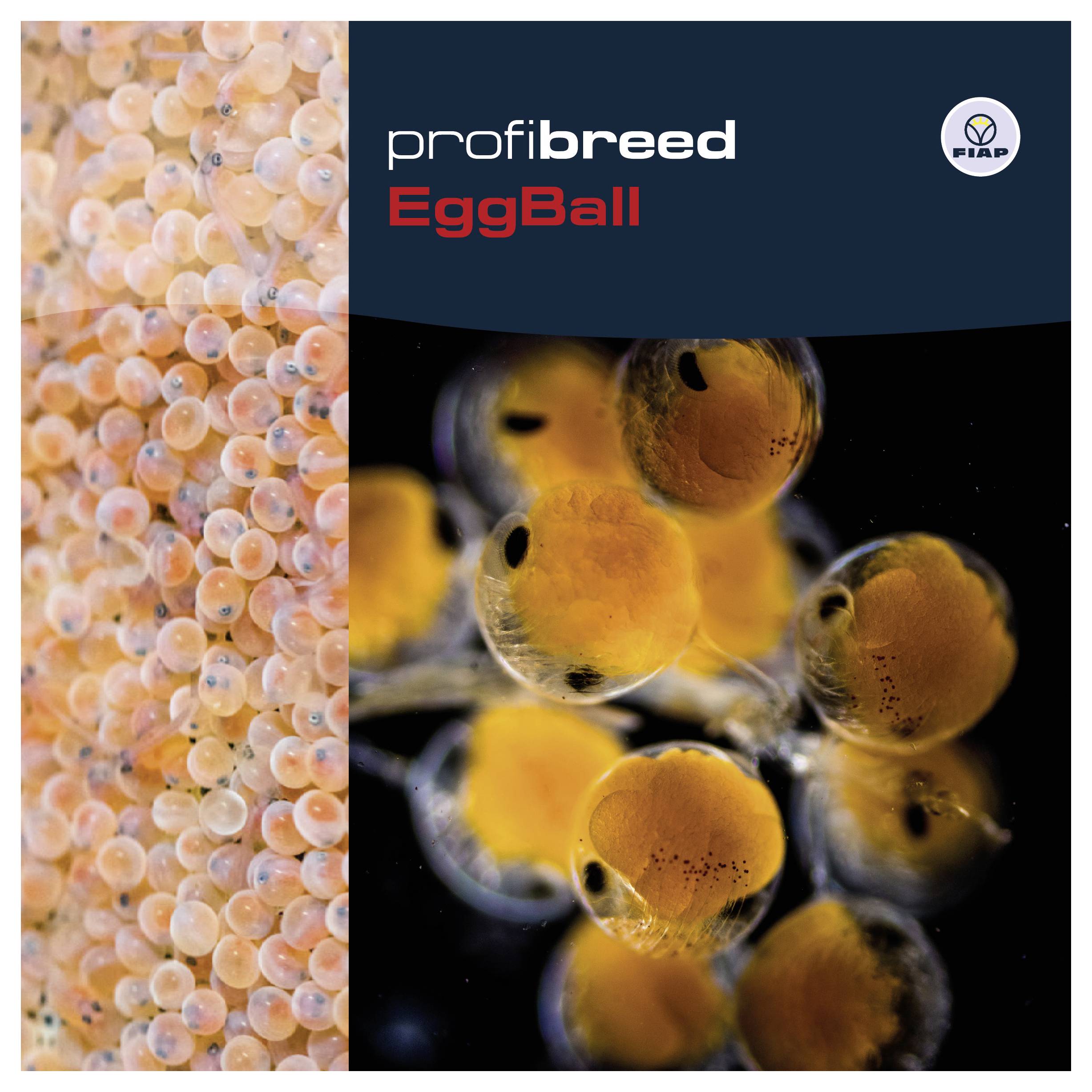 Image promotionnelle pour « profibreed EggBall » montrant des œufs de poisson orange ; le panneau de gauche présente de nombreux œufs, le panneau de droite affiche un gros plan d'œufs sur fond sombre avec le logo FIAP.
