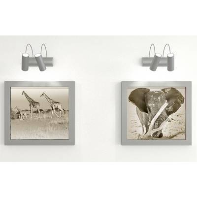 Deux photographies encadrées de faune sauvage accrochées côte à côte : des girafes à gauche et un éléphant à droite, chacune éclairée par un petit projecteur mural.