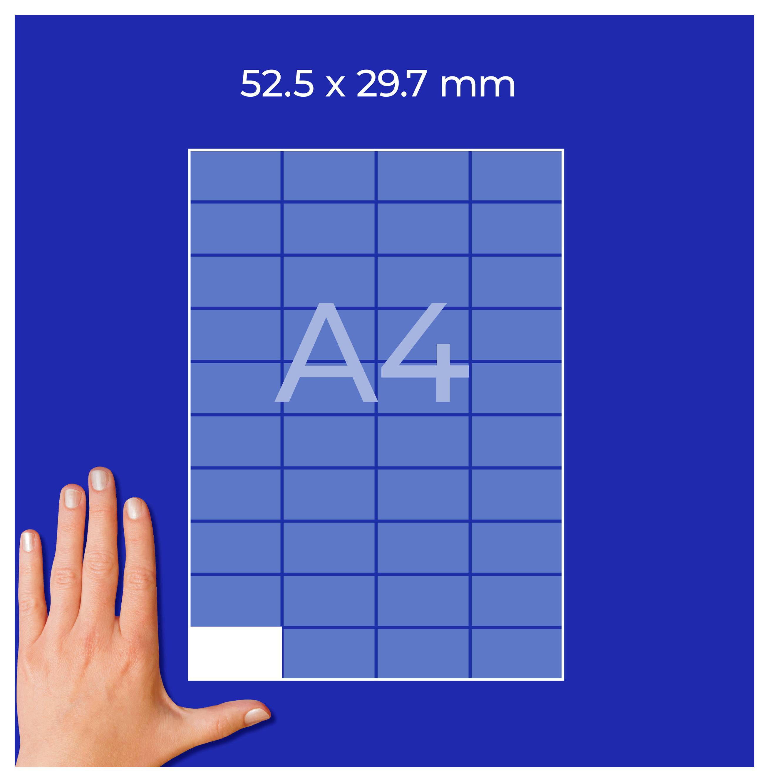 Graphique du format de photo d'identité : feuille A4 avec zone marquée « 52,5 x 29,7 mm » et « A4 » ; la main montre la comparaison des tailles.