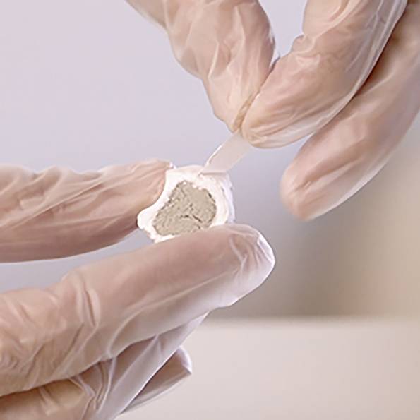 Une personne portant des gants tient une pièce blanche avec un matériau brun clair visible à l'intérieur, suggérant un examen ou une analyse dans un environnement de laboratoire.