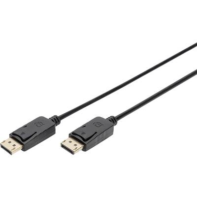 Deux câbles DisplayPort noirs avec des fiches à chaque extrémité, sur un fond blanc.