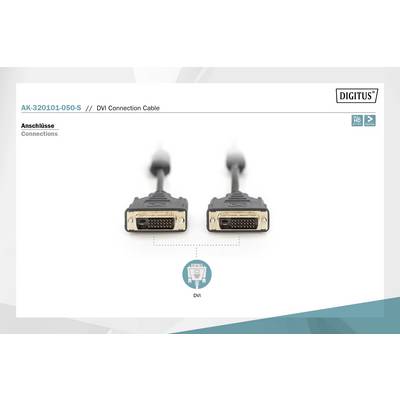 Deux câbles de connexion DVI avec des connecteurs dorés côte à côte, étiquetés 'Connexions DVI'. Le bord supérieur présente les détails du produit.