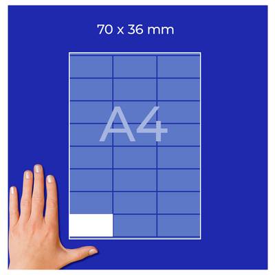 Le nombre '24' grand au milieu d'une grille rectangulaire avec plusieurs cases vides.