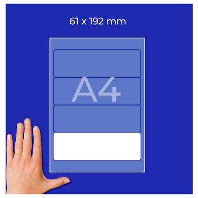 Format A4 et dimensions 61 x 192 mm en tant qu'étiquette étroite et allongée avec main pour la relation de taille.